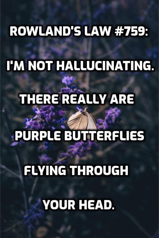 rowlands_laws's tweet photo. Nope, no idea. 

Photo by Maxine Ficheux on Unsplash. 

#purplebutterfly #halucination #rowlandslaws https://t.co/k0whWHyBG8
