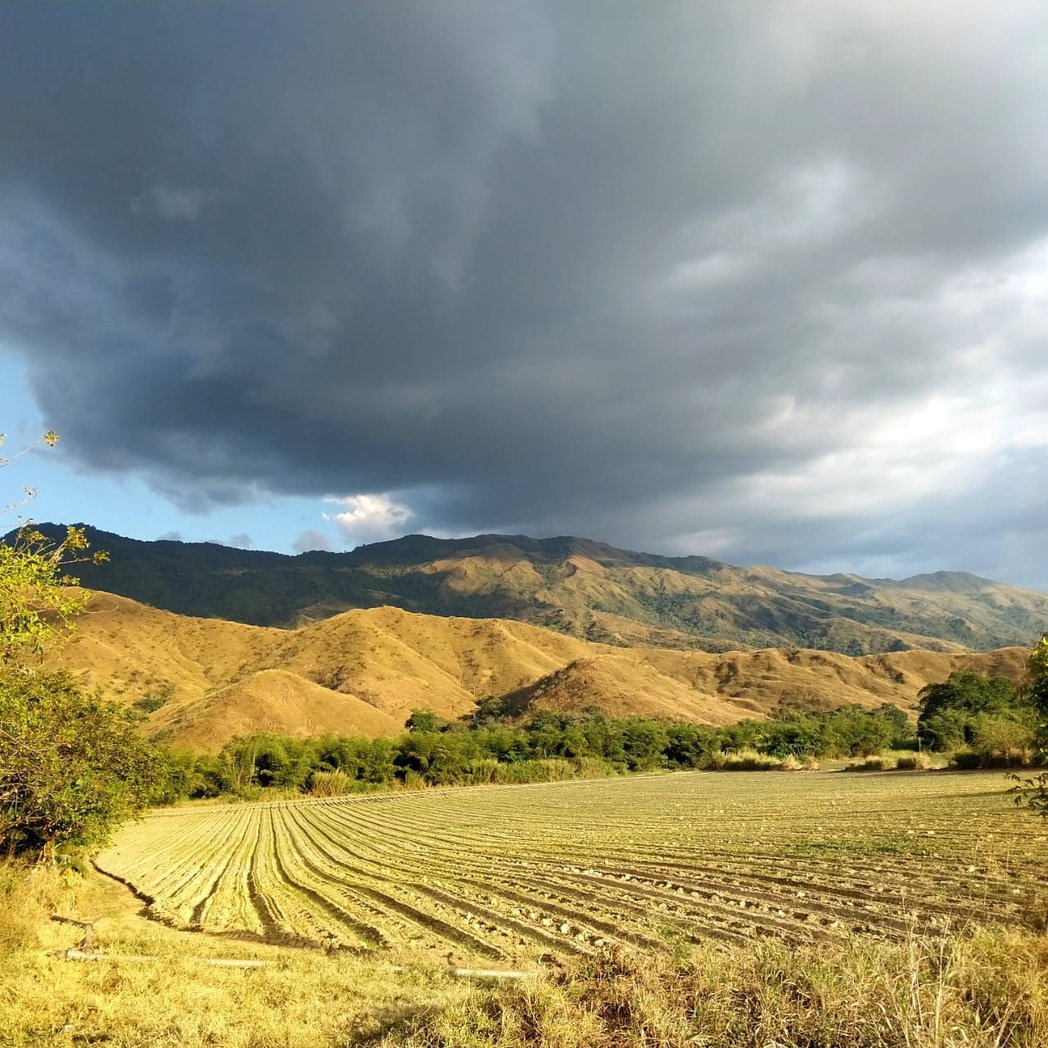 Toda siembra lleva una buena preparación del suelo, exige la disposición de agua y de nutrientes que fortalezcan a la semilla y potencien el desarrollo de la planta durante su crecimiento. 

¡Somos Danac, somos excelencia y calidad! 🌱