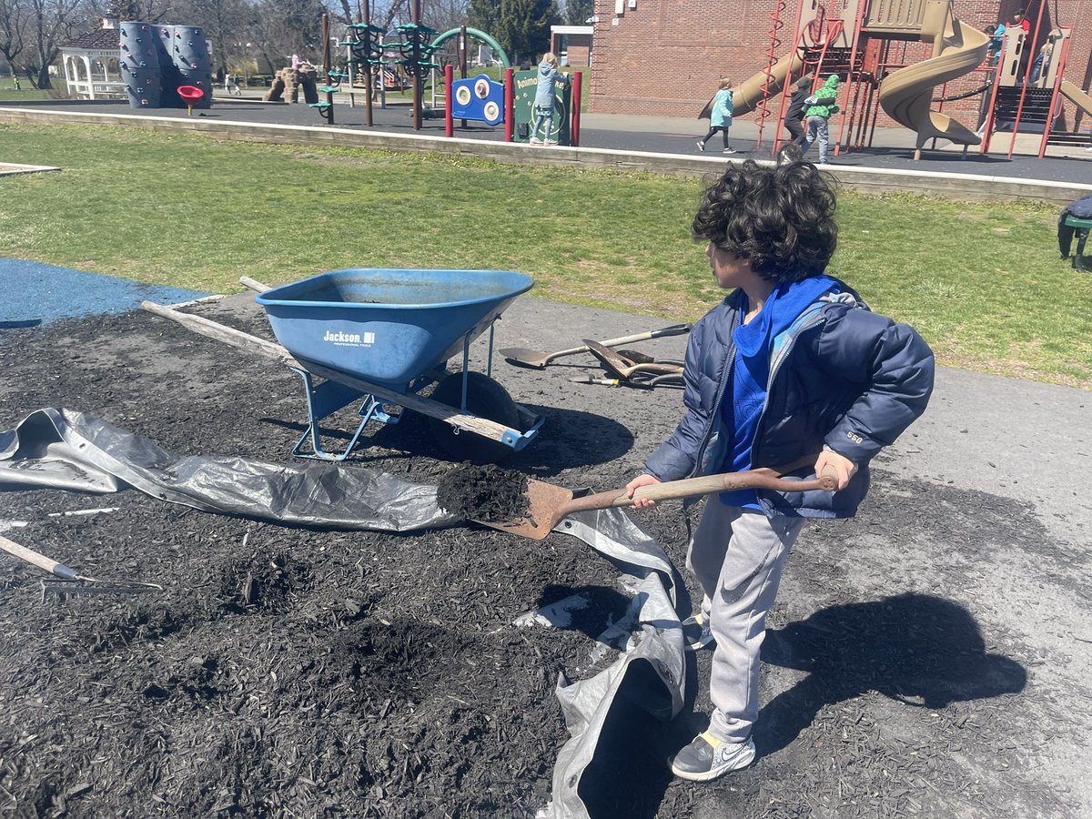 S. D'Amore tweet media