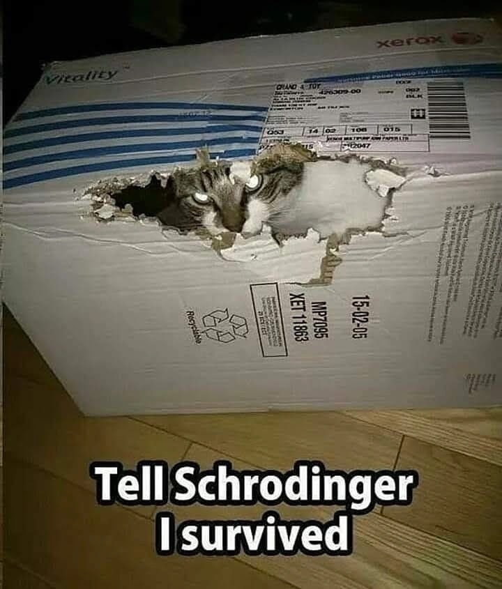 qphysicsmza's tweet photo. "Defying Schrödinger's experiment - I am alive and well!" 😂😂😂...

Image unknown, comment for credit. https://t.co/v1Vehd9Ttp
