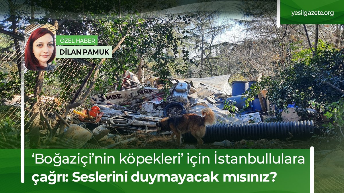 Yeşil Gazete tweet media