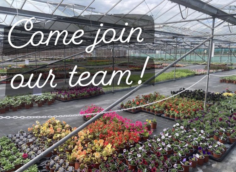 We are looking for a Commercial Horticulture Instructor to join our team! Full time position. Closing date 21st April. Click the link for more information! #yorkjobs #northyorkshirejobs justicejobs.tal.net/candidate/so/p…