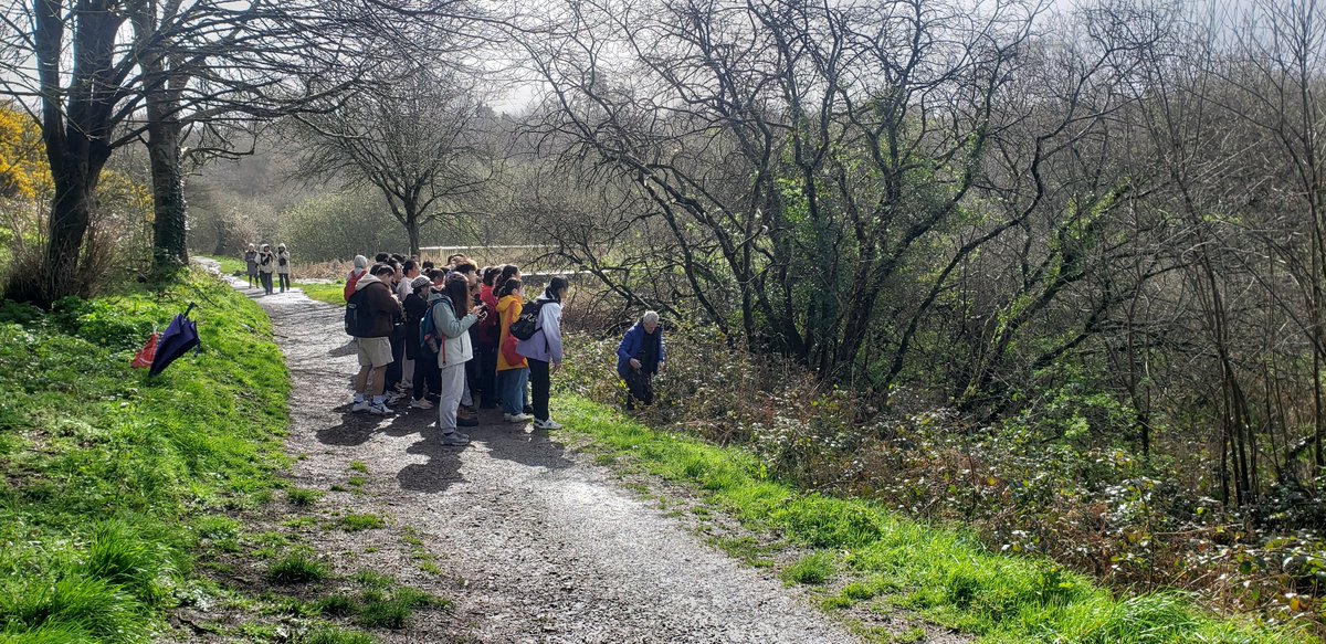 Stephen Hutton tweet media