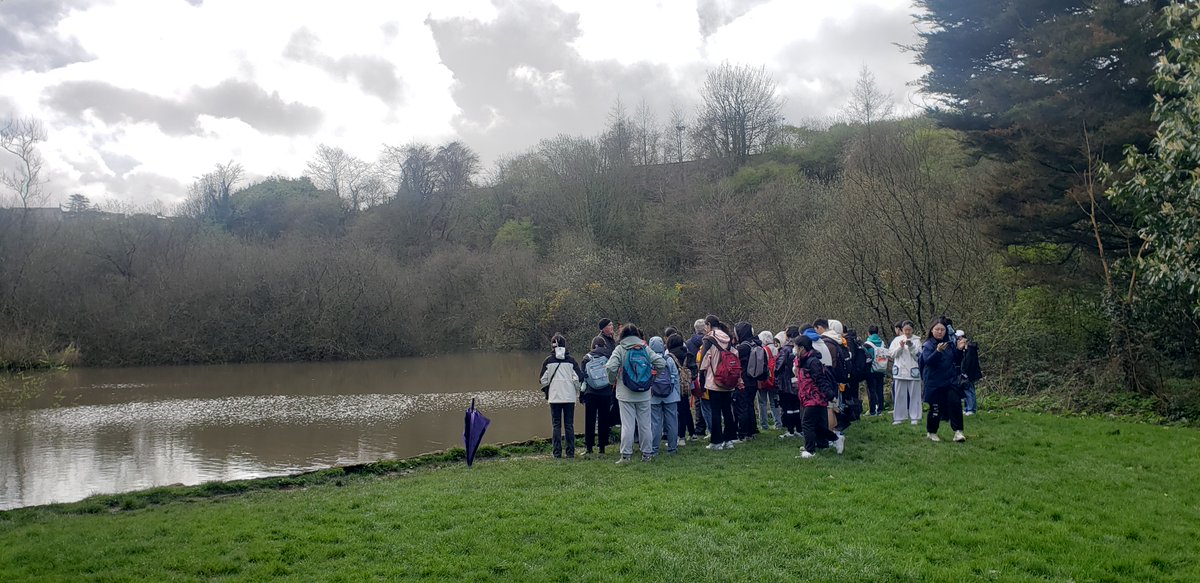 A damp but highly enjoyable field trip to the Glen River Park today with our 3rd year Environmental Science Minzu University of China BScESM students, learning valuable practical skills on bird and plant identification. @uccBEES @UCCEnvScience @SleemanPaddy
