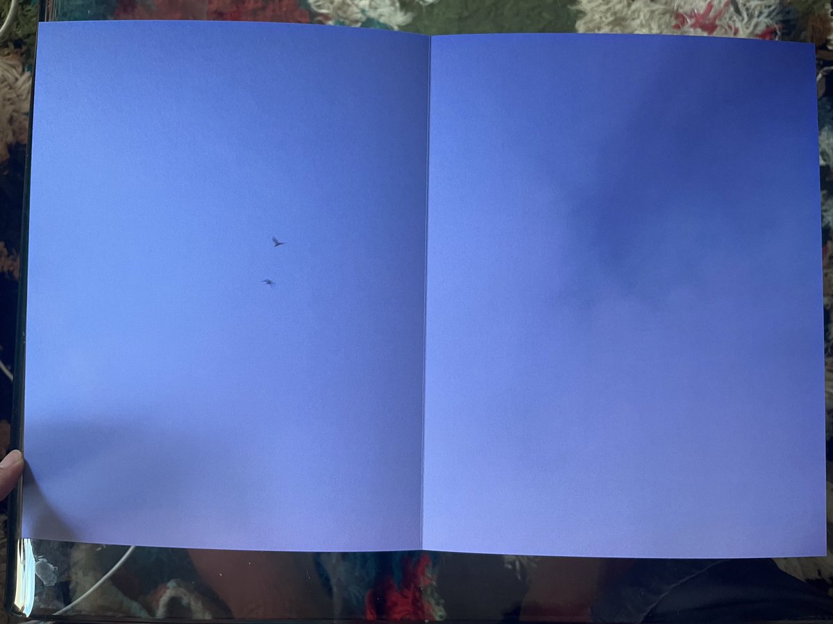 ipodmacbook's tweet photo. love to point at 2 things and say that’s us when im walking around with syd so for her bday (today) i made her a book of photos i took of things that are us. happy birthday queen https://t.co/vUO6iTz9eB