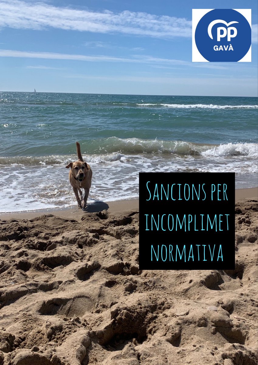 Nuestra propuestas en el Pleno de abril de #Gavà: servicio de bar en equipamientos municipales; paso de La Volta por la ciudad; accesibilidad en promociones de vivienda pública; civismo en las playas; incremento de agentes cívicos. ☕️🚴🏼‍♂️♿️🐶📙