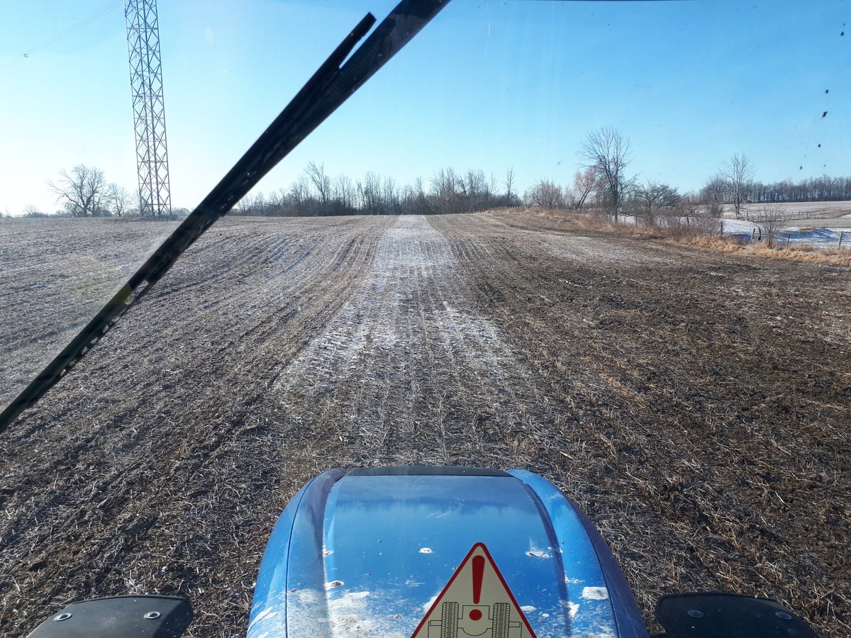 The ponies will be fed for another year #plant23