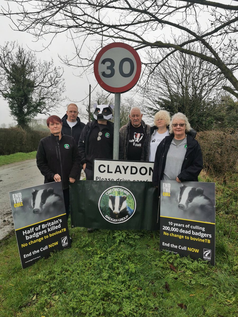 Badgers have been killed across Oxfordshire in a unscientific badger cull.

We joined with @BadgerTrust staff  @Northantsbadger and @WarkBadgerGroup yesterday to spread awareness and call for an end to the #badgercull