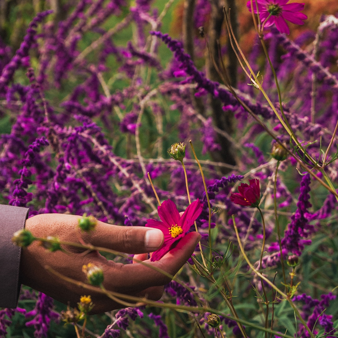 LeapFrog Design tweet media