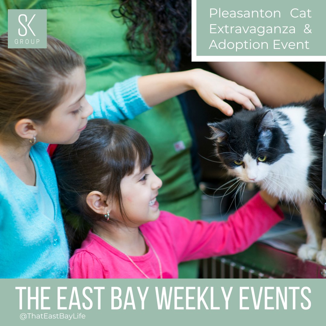 ThatEastBayLife's tweet image. Another week is packed with outdoor and indoor activities.
Perfect for friends and family bonding!🎉

The East Bay Weekly Events are listed on the link below. ⬇️
simonekoga.com/blog/2023/marc…

#theeastbay #entertainment #weeklyevents #outdoor #indoor #activities