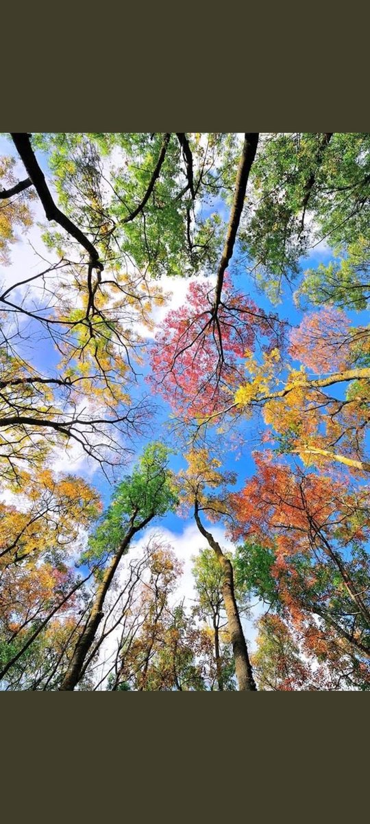Colorful silence. The purest expression of life