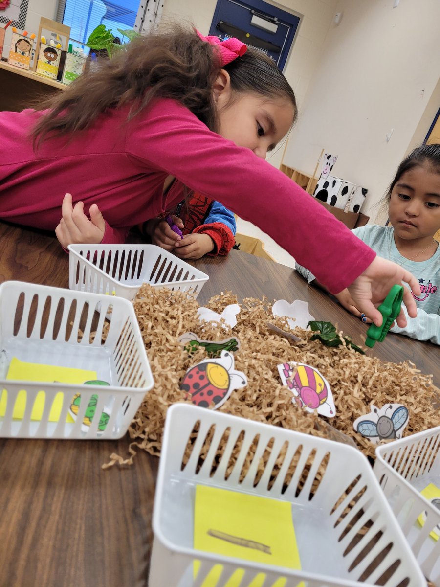 Daisy Molina tweet media