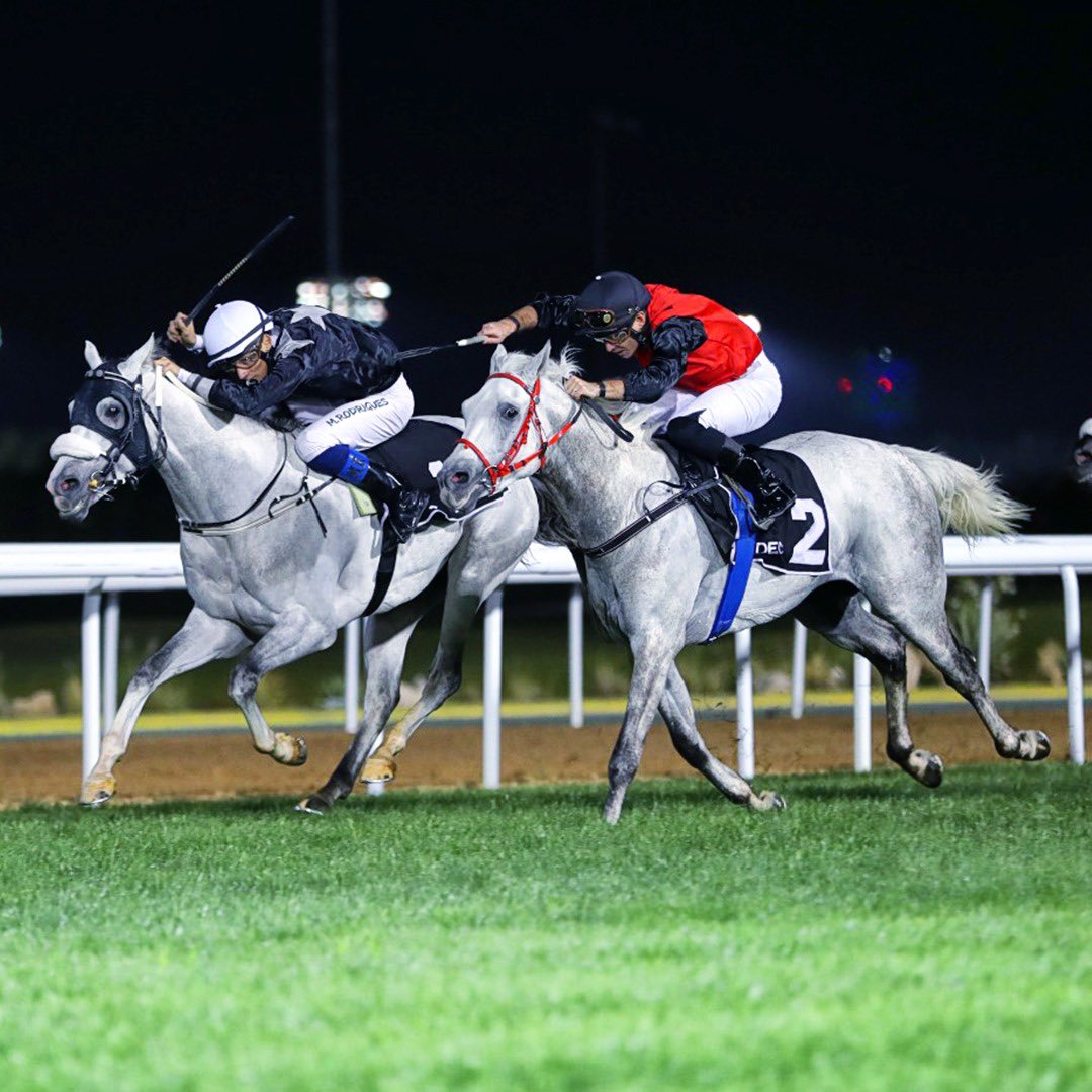 kelliottau's tweet photo. Congratulations to all the connections of the winning horse in Race 3 of the 15th Race Meeting at Abu Dhabi Equestrian Club. @kimelliott.au https://t.co/FSSNioN7X6