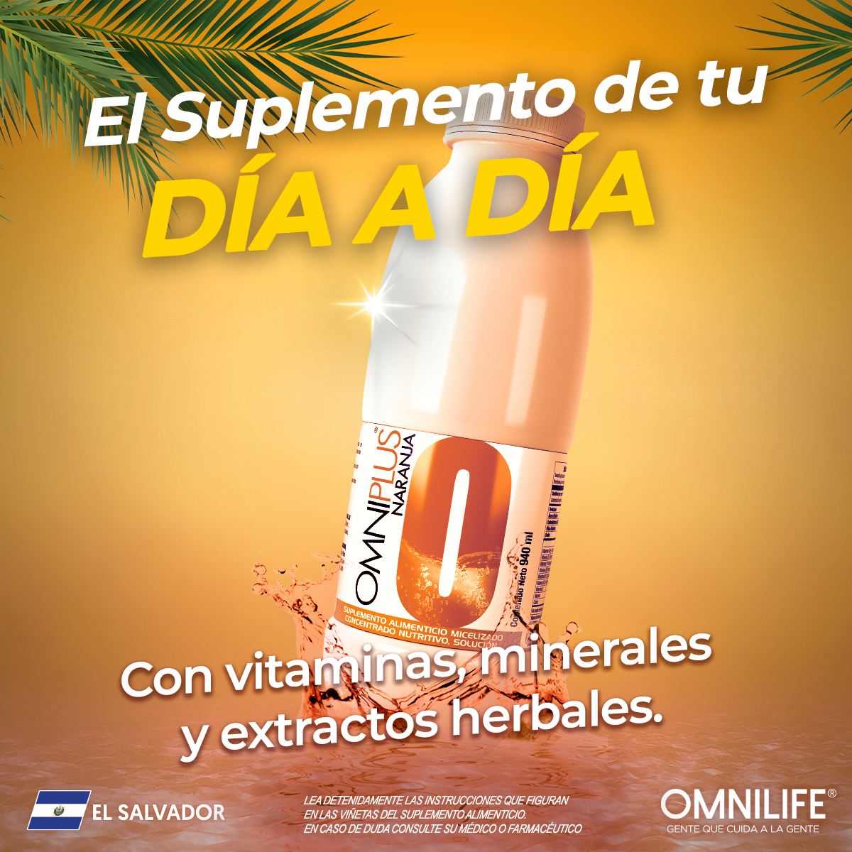 Inicia tu día con un mix de vitaminas, minerales y extractos herbales del OmniPlus sabor naranja. 

Encuentra este producto con un Distribuidor Independiente de El Salvador. Conoce la disponibilidad y presentación en tu país.

#OMNILIFE
