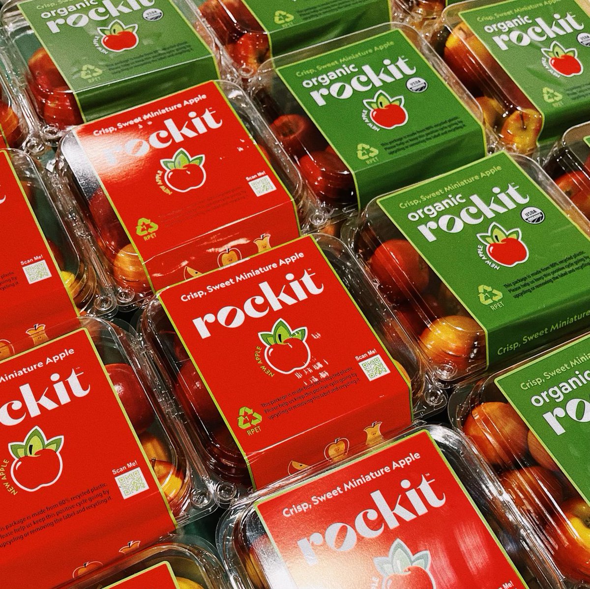 RockitAppleUSA's tweet photo. Pick up a tub of crisp, sweet, miniature Rockitโข apples and brighten your whole familyโs day! Choose the fruit that every age will love.๐๐#RockitApple #TinyApple #RockitEveryDay https://t.co/fpHYErGNXR