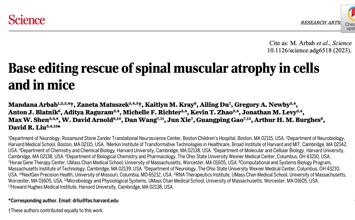 Today we report in @ScienceMagazine a one-time base editing treatment for Spinal Muscular Atrophy (SMA), the leading genetic cause of infant mortality worldwide, affecting ~1 in 10,000 births. science.org/doi/10.1126/sc… PDF: drive.google.com/file/d/1H1k8AA… 1/17