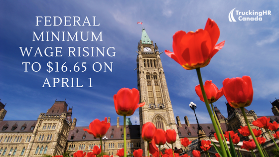 To keep pace with inflation, the federal minimum wage will increase from $15.55 to $16.65 per hour on April 1, 2023. Federally regulated private-sector employers must adjust their payroll information with the new rate. Learn more here: bit.ly/3ZoYXLD