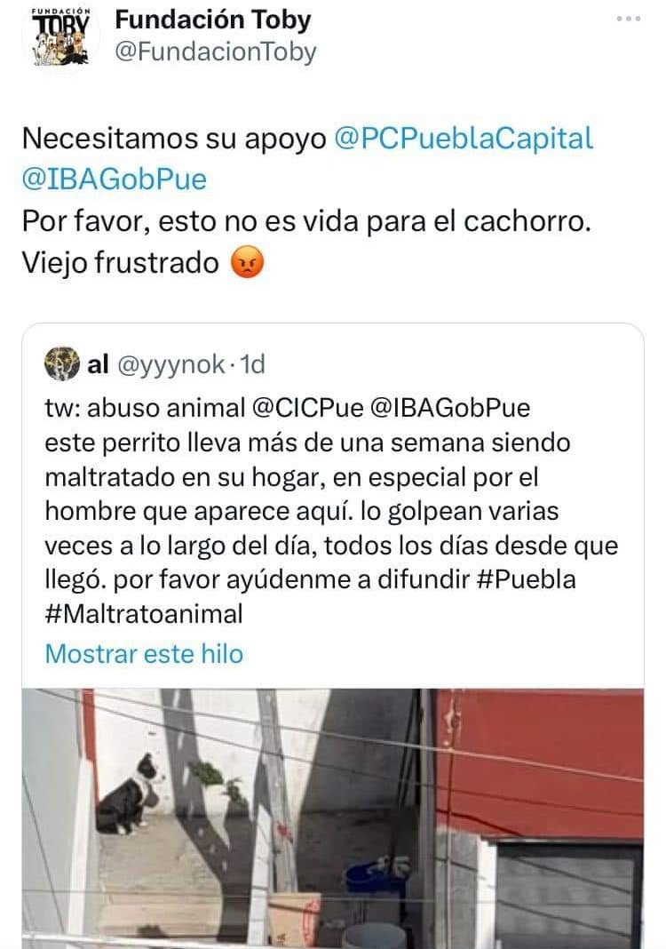 Fundación Toby (@FundacionToby) on Twitter photo 2023-03-30 18:15:25 Actualización!! Gracias de verdad!! @PCPueblaCapital @IBAGobPue @SergioSalomonC Juntos hacemos más!! Siempre! Actualización!! Gracias de verdad!! @PCPueblaCapital @IBAGobPue @SergioSalomonC Juntos hacemos más!! Siempre!