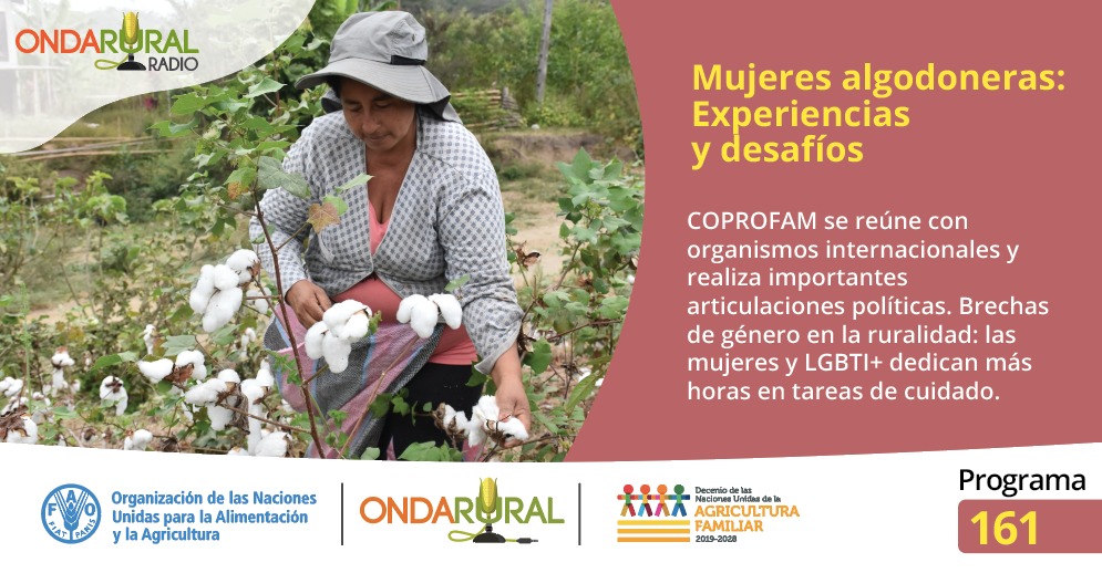 ondarural's tweet photo. 📣Al aire el #programa161 🎙
✔️ Mujeres algodoneras💨 de #AméricaLatina comparten #experiencias y desafíos y dialogan sobre acciones conjuntas en la 🌎.
#EXPERIENCIA: Red de promotores agroambientales 👩🌾🎋🧑🌾"Adapta jóvenes" en Nicaragua🇳🇮.
🎧Escúchalo ▶️ https://t.co/hD2BgiXG9d https://t.co/6kJ2DvGmJd