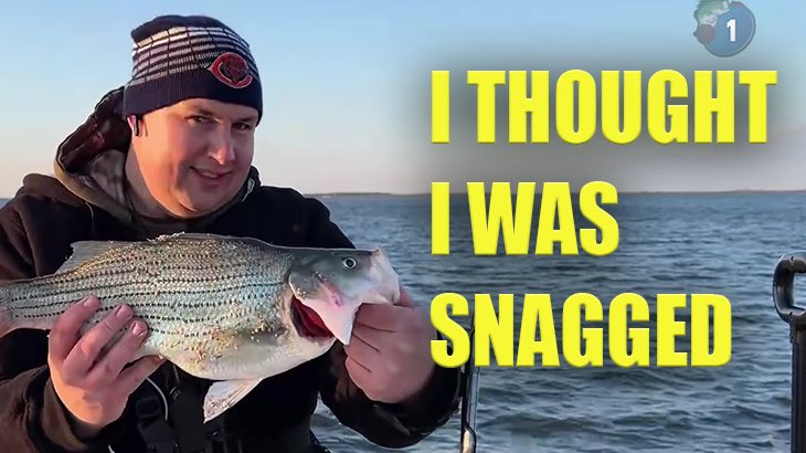 Bananasac1's tweet photo. New YouTube vid is up, appreciate it if you could watch, like, and comment. Thanks
#fishing #bassfishing #lunkers @TacoPackTeam @dailyfishingBot @Fishingfrnd @topfishingpics1
I THOUGHT I WAS SNAGGED #illinoisfishing #bassfishing
https://t.co/WHLwKGeIJj https://t.co/NIDe44jfF7