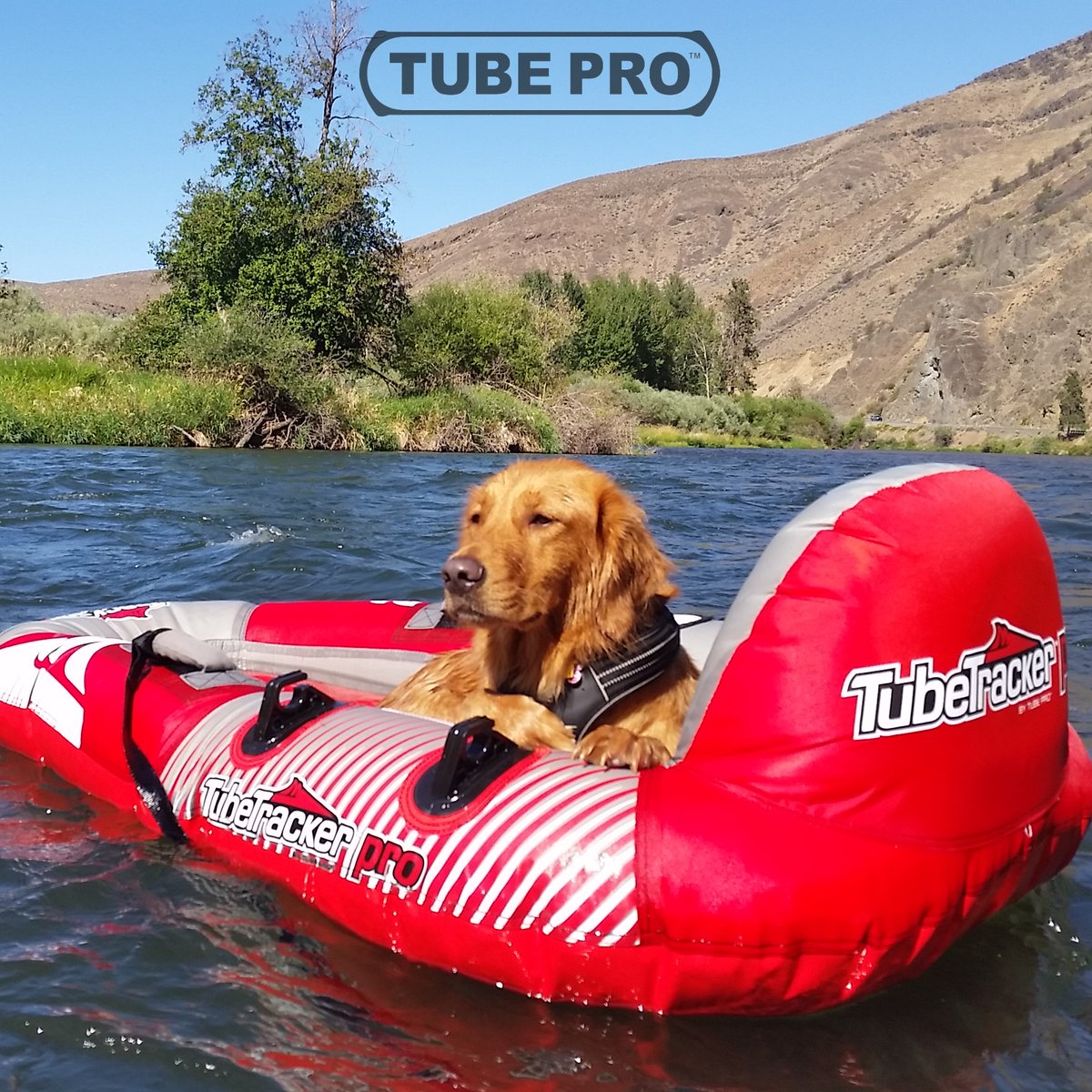 TubeProInc's tweet image. Float with ALL your best friends!  TubeTracker™ steerable kayak tubes include durable 80" aluminum paddle &amp;amp; cover made with sewn D-ring link. #tubeproinc #tubeproriver #rivertubing #riverfloating #riverfloat tubeproinc.com
