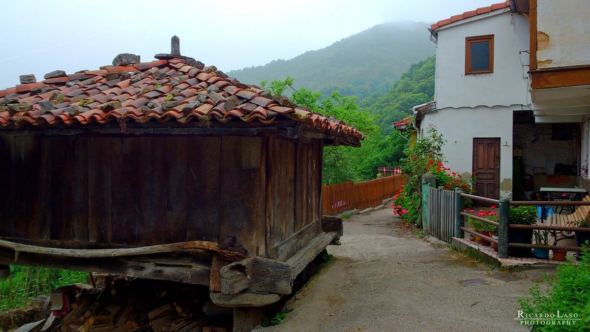 Ricardo_Laso's tweet image. EL PEDRERO / URBIÉS, MIERES #ASTURIAS
#ElPedrero, es una localidad del concejo de #Mieres y perteneciente a la parroquia de #Urbiés. Está situada a una altitud de 600 metros. Dista a 14,90 kilómetros de la capital municipal Mieres del Camino.
RicardoLaso-photography.blogspot.com