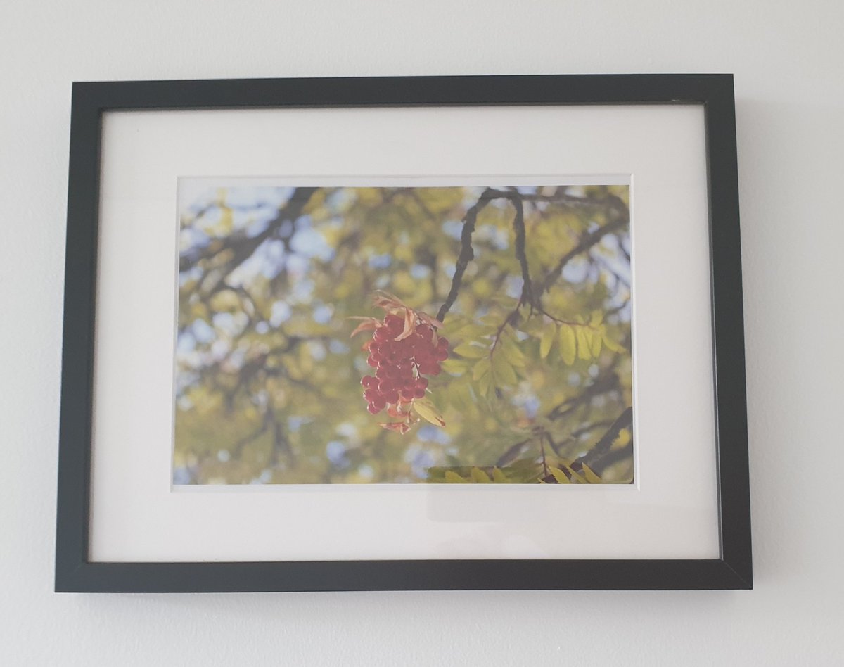 BiggarHigh's tweet photo. Photography students framed work now adorning our meeting room spaces π‘ππΈ . . .
#bhs_creativity https://t.co/SqlAongJwZ
