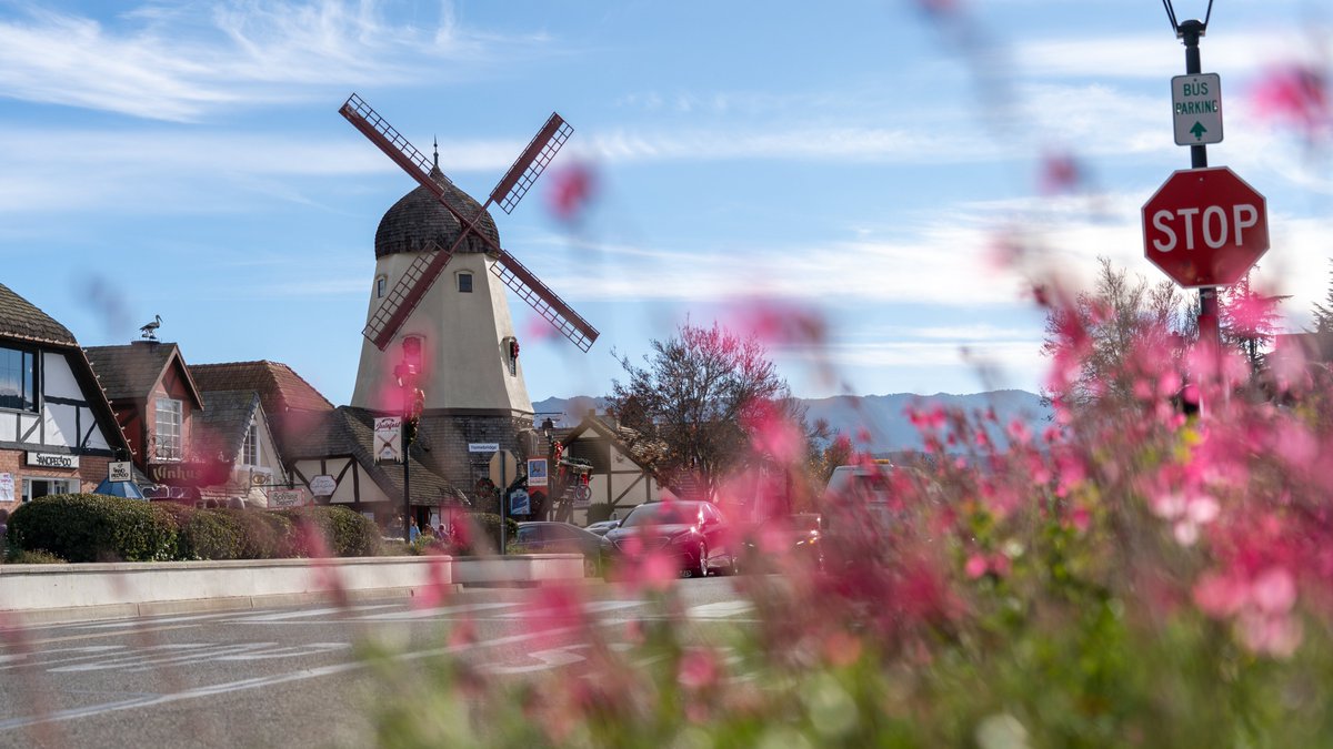 Stop and smell the flowers! Spring has arrived in @solvangusa. 🌹🌺

📸 <a href="/mlaan/">mlaan</a> ⁠
