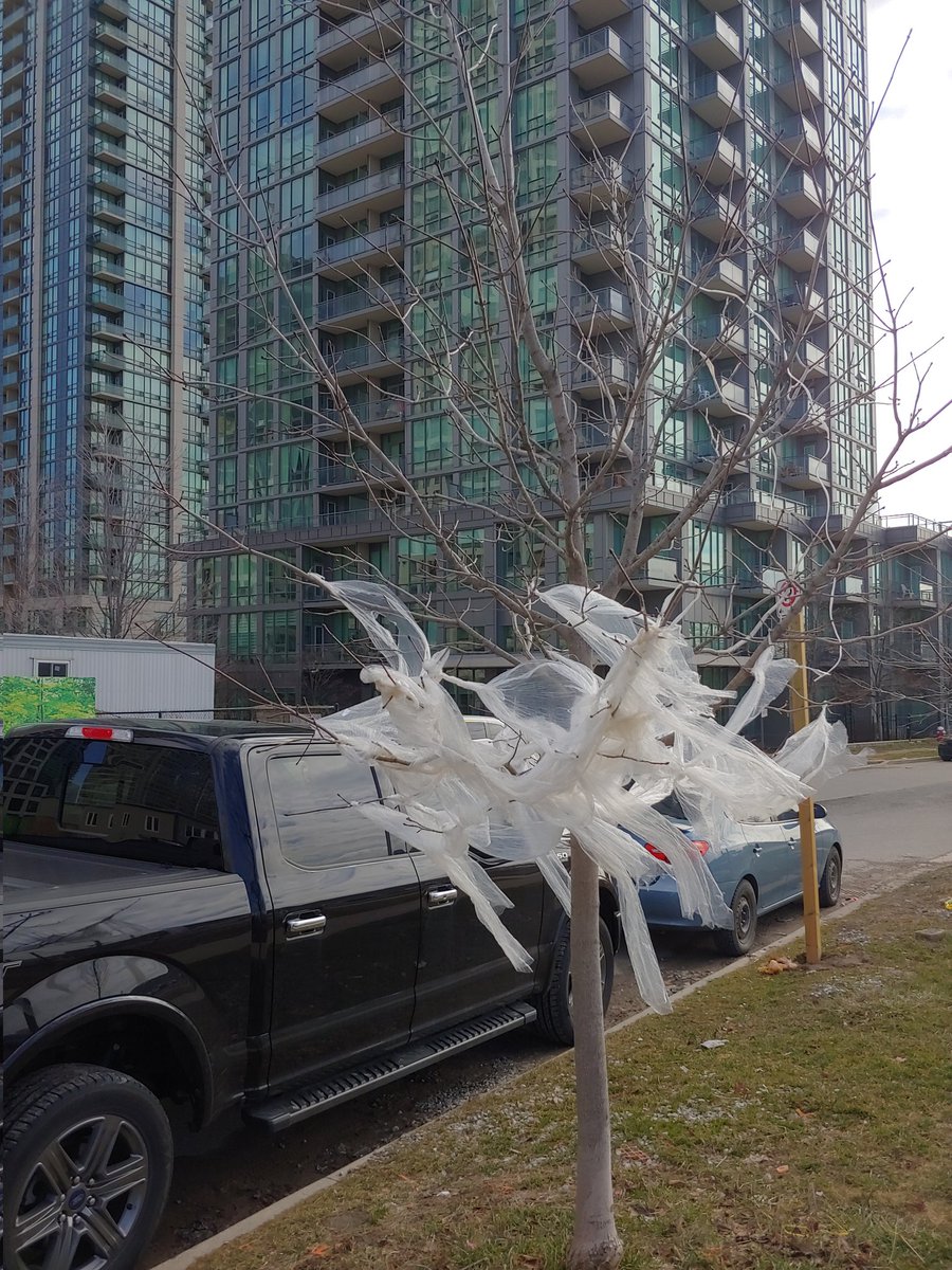 Ms Rutledge tweet media