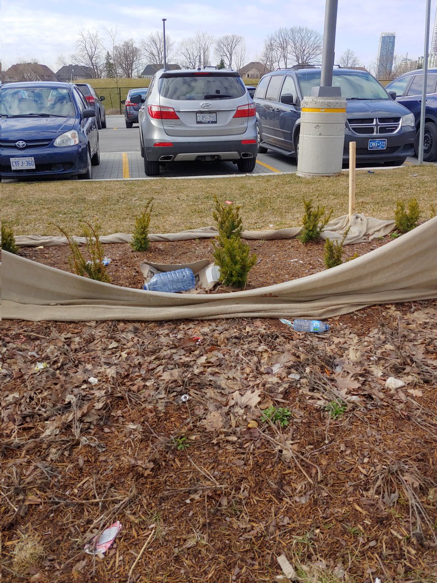 Ms Rutledge tweet media