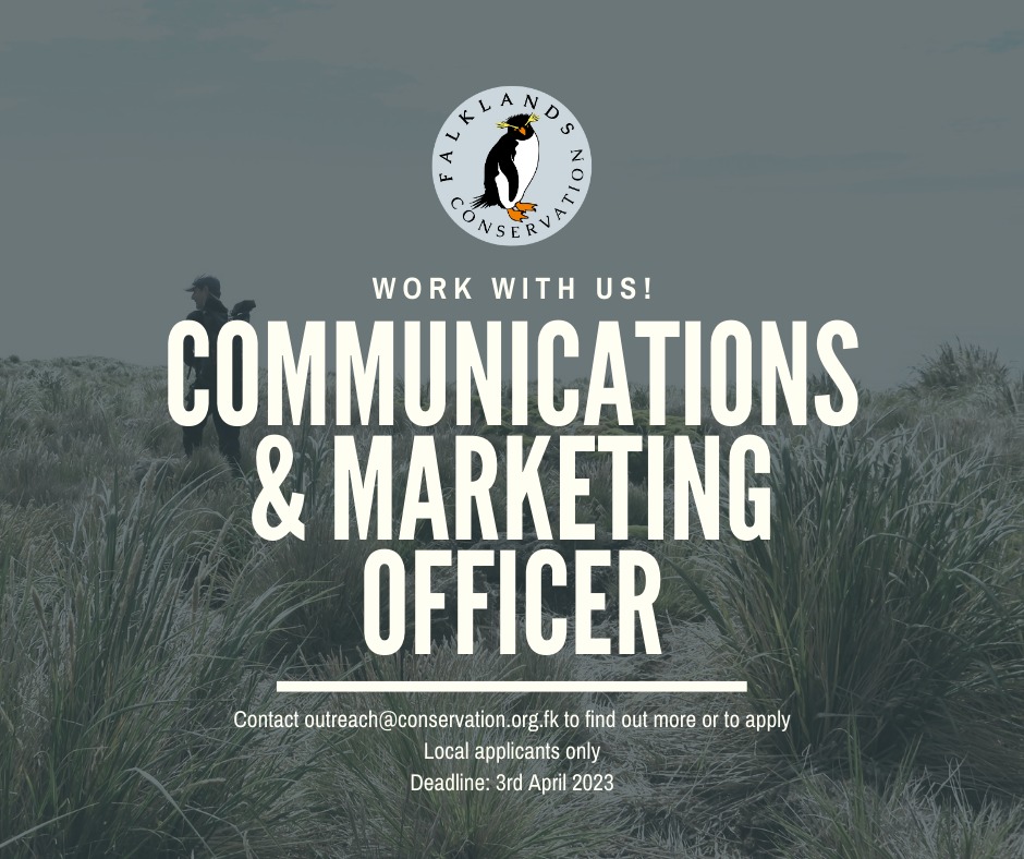 FI_Conservation's tweet photo. 🌟 JOB OPPORTUNITY 🌟 We are looking for someone to join our conservation team as Comms &amp; Marketing Officer to help us drive forward our work for Falklands nature 🌱 Please contact Glenn Welch at Outreach@conservation.org.fk https://t.co/eLwvCWm53w