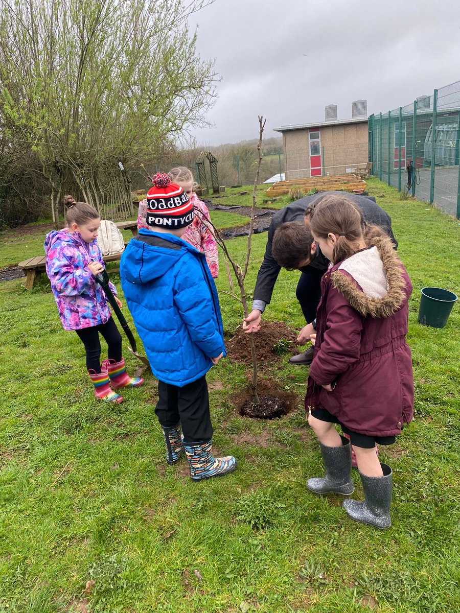 YsgolLlanhari's tweet photo. Diolch @FletcherPlaid am ddewis Ysgol Llanhari yn lleoliad i’th goeden #GwleddYGwanwyn a diolch i aelodau balch y clwb garddio am eich gwaith caled heddi! Diolch @nationaltrust Delighted to welcome former pupil Luke to school today to plant his chosen tree for #BlossomWatch https://t.co/1acWHYyZga