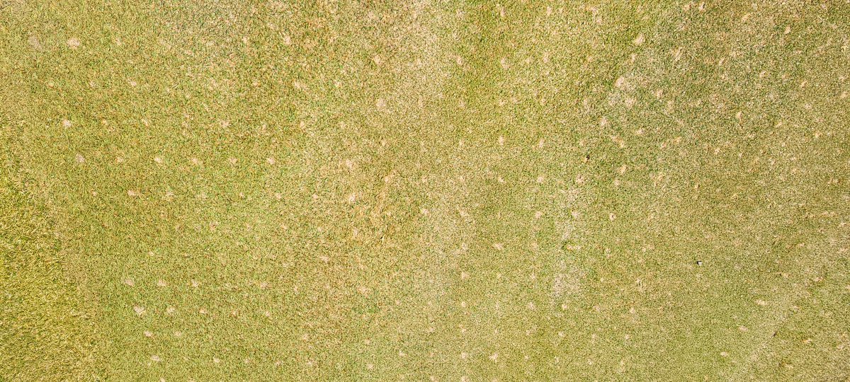 Scott Countryman tweet media