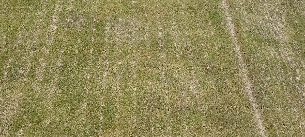 Scott Countryman tweet media