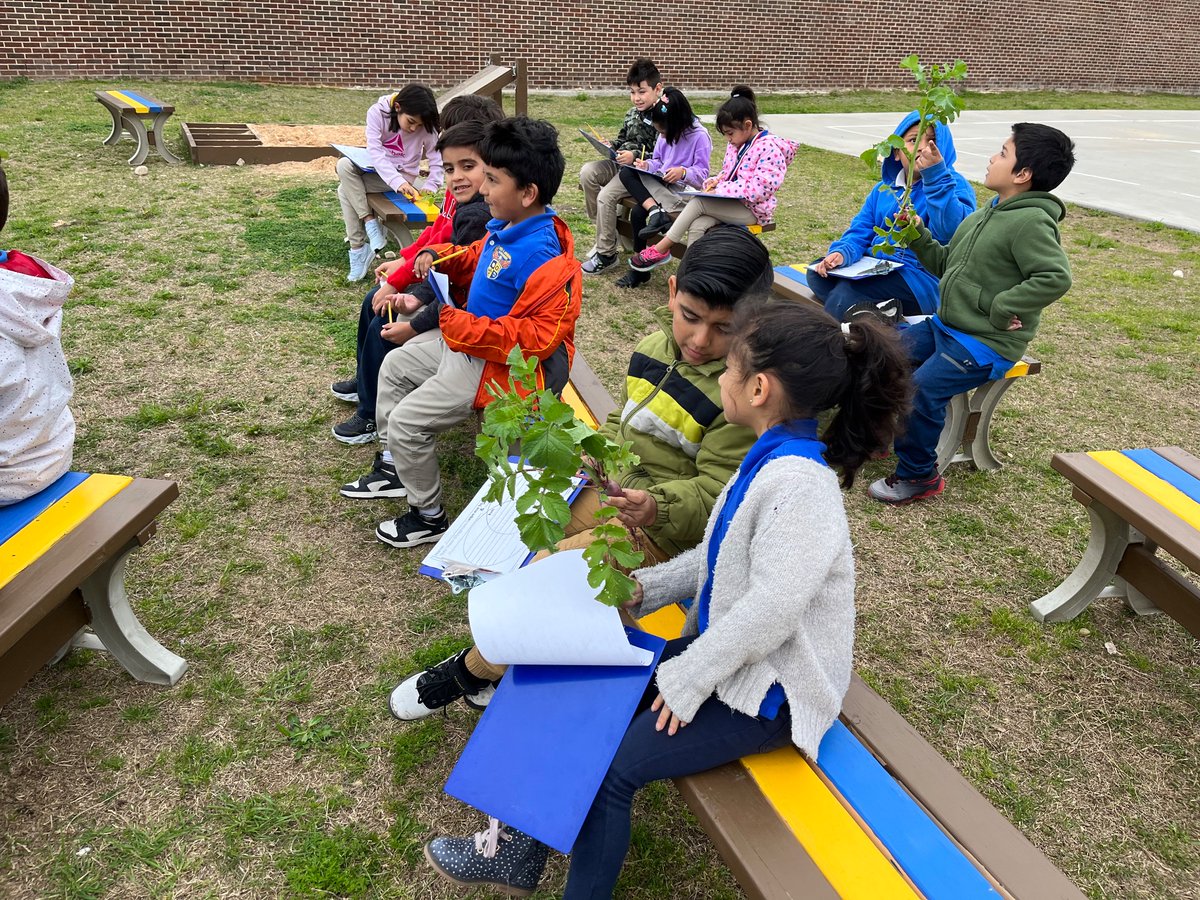 GHuertas4's tweet photo. Learning outdoors how to compare and contrast vegetables from our garden. Real life experiences! https://t.co/tEpDAHkBZX