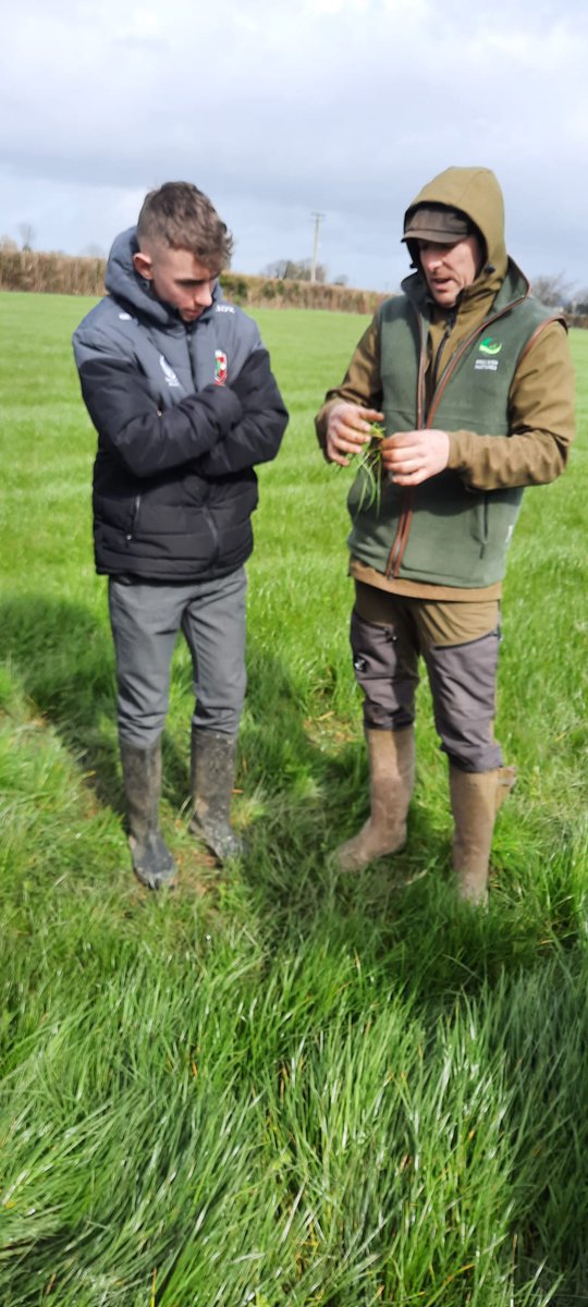 Delighted to be asked to help @KanturkSM with some grassland management tips before the final round of interviews for the Angus Beef schools compaction in association with @KepakGroup @AbpFoods #futurefarmers