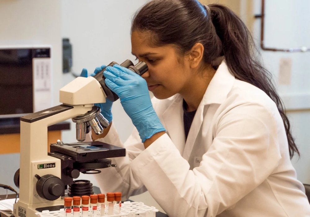 Boar SciTech tweet media