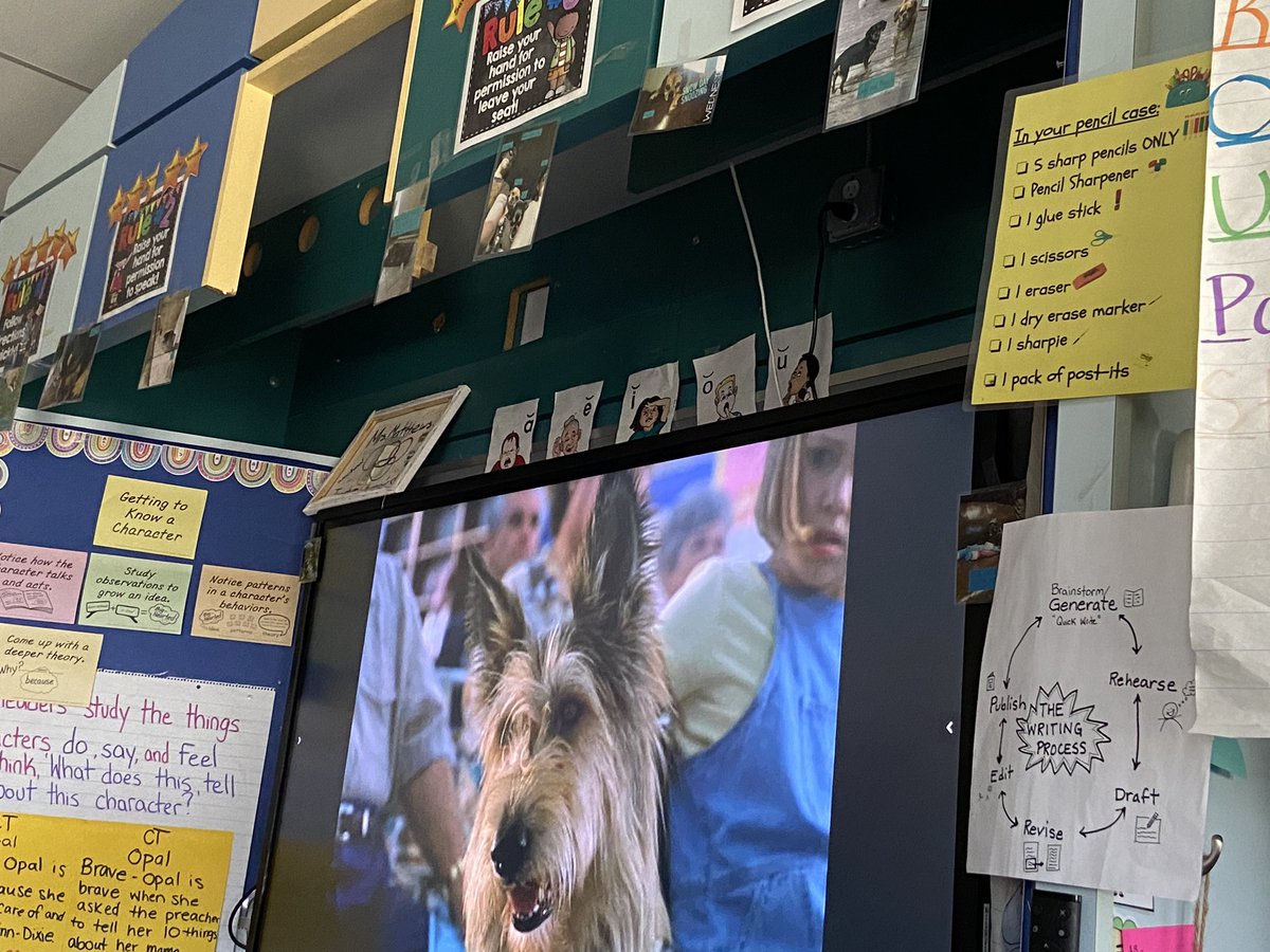 CVS_Matthews's tweet photo. One of the best days of the year, it’s time to watch Because of Winn Dixie! The look on our students’ faces makes this day so magical! https://t.co/sxieu33T8n