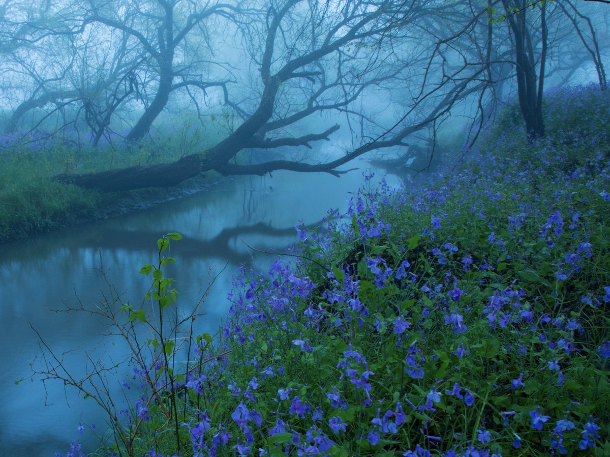 𓍊˖ ࣪⊹ (@goblinc0re) on Twitter photo 