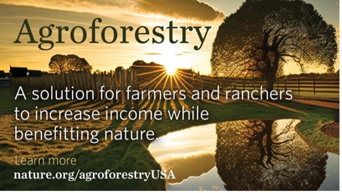 ATTENTION FARMERS &amp; RANCHERS: You may be eligible to enroll in a new project to expand your income and benefit nature through a new #agroforestry project. 🌳

Learn how you can benefit from agroforestry: nature.ly/3G6avwJ