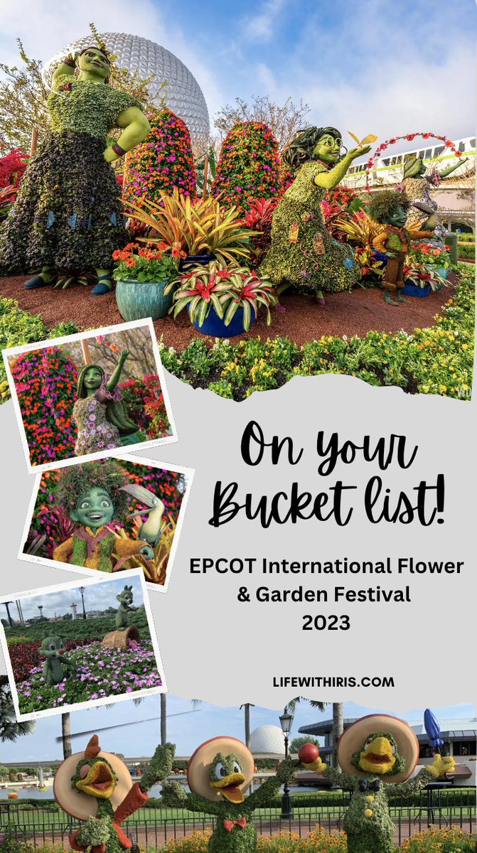 New Blog Post! A epic festival for your Bucket List bit.ly/3Jjwwda - You still have time to visit Epcot's International Flower &amp; Garden Festival. You won't want to miss it! #Epcot #WaltDisneyWorld100 #FamilyTravel <a href="/WaltDisneyWorld/">Walt Disney World</a> <a href="/DisneyParks/">Disney Parks</a>