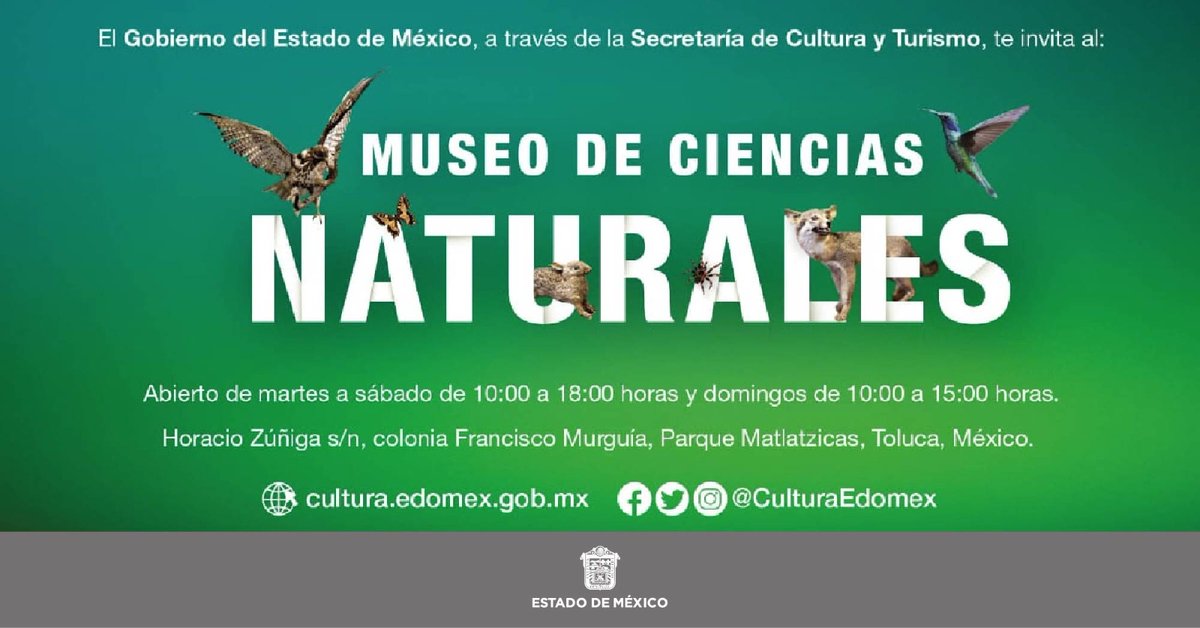 El Museo de #CienciasNaturalesEdoméx reabre sus puertas, ven y conoce los universos de rocas y minerales, fósiles, esqueletos, bichos, aves y mamíferos. Te esperamos de martes a sábado de 10:00 a 18:00 horas y domingos de 10:00 a 15:00 horas en Parque Matlazincas de #Toluca.