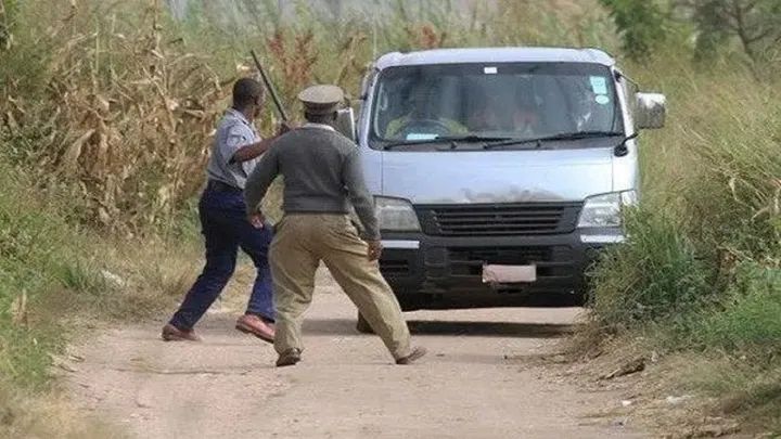 Busy nemakombi whilst gold is being smuggled 😭😒