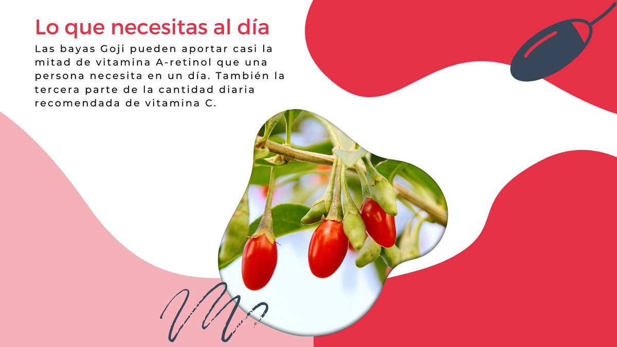 Te contamos cómo cuidan de tu salud 🏥🏥🏥 las #bayasGoji 💚💚💚
Y si te apetece saber más 👇👇👇
💻 gojimediterranea.com

#bayas #alimentossanos #alimentación #frutasyverduras #5aldía #bienestar #natural #salud #nutrición