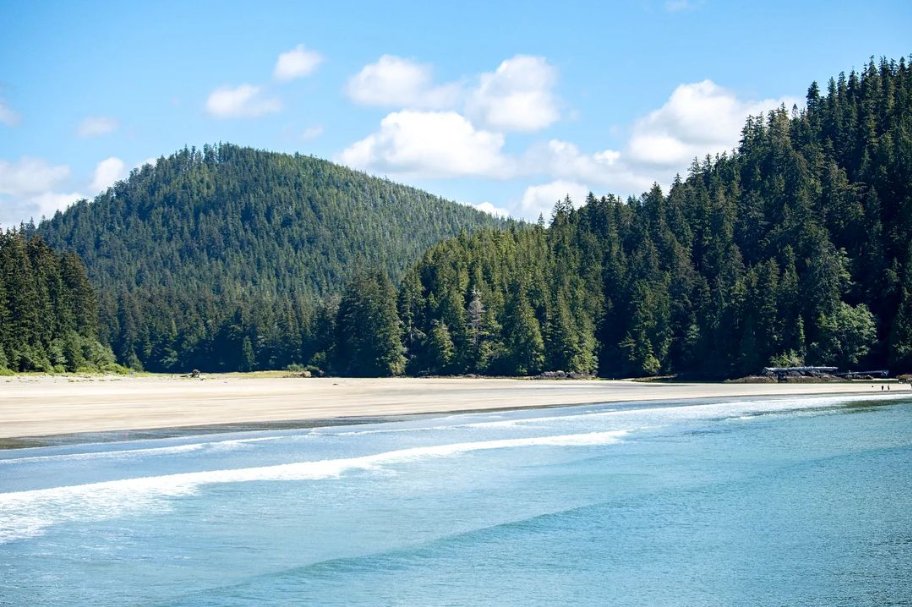 NanaimoDivision's tweet photo. Nobody wants to leave their vacation destination, so don't.🤷🏖️

📸 - Dr. Cody Van Valkenburg @vanvalco on IG

.
.
#capescott #sanjosefbay #nanaimodivisionoffamilypractice #tourismnanaimo #explorebc #explorevi #explorenanaimo  #pnw #nanaimo #explorenanaimo #britishcolumbia #ndofp https://t.co/4g6Gj71Hcj