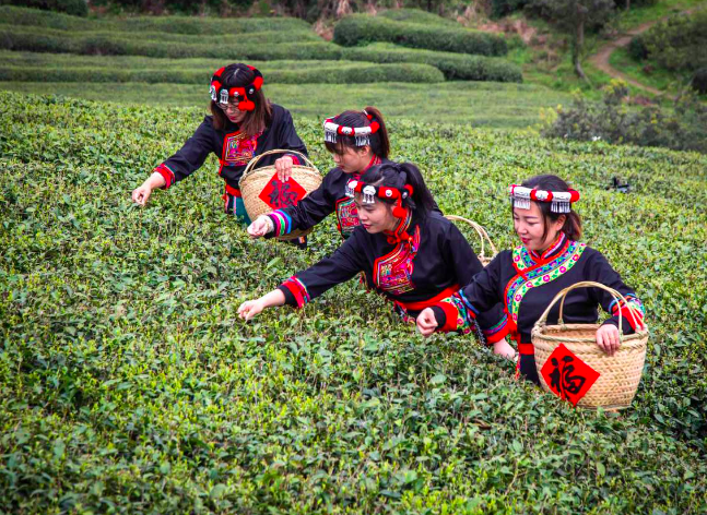 Better lending products seen in tea leaves - masterstalk.online/2023/03/30/bet…