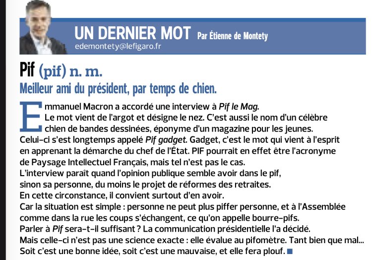 Domitille Arrivet tweet media