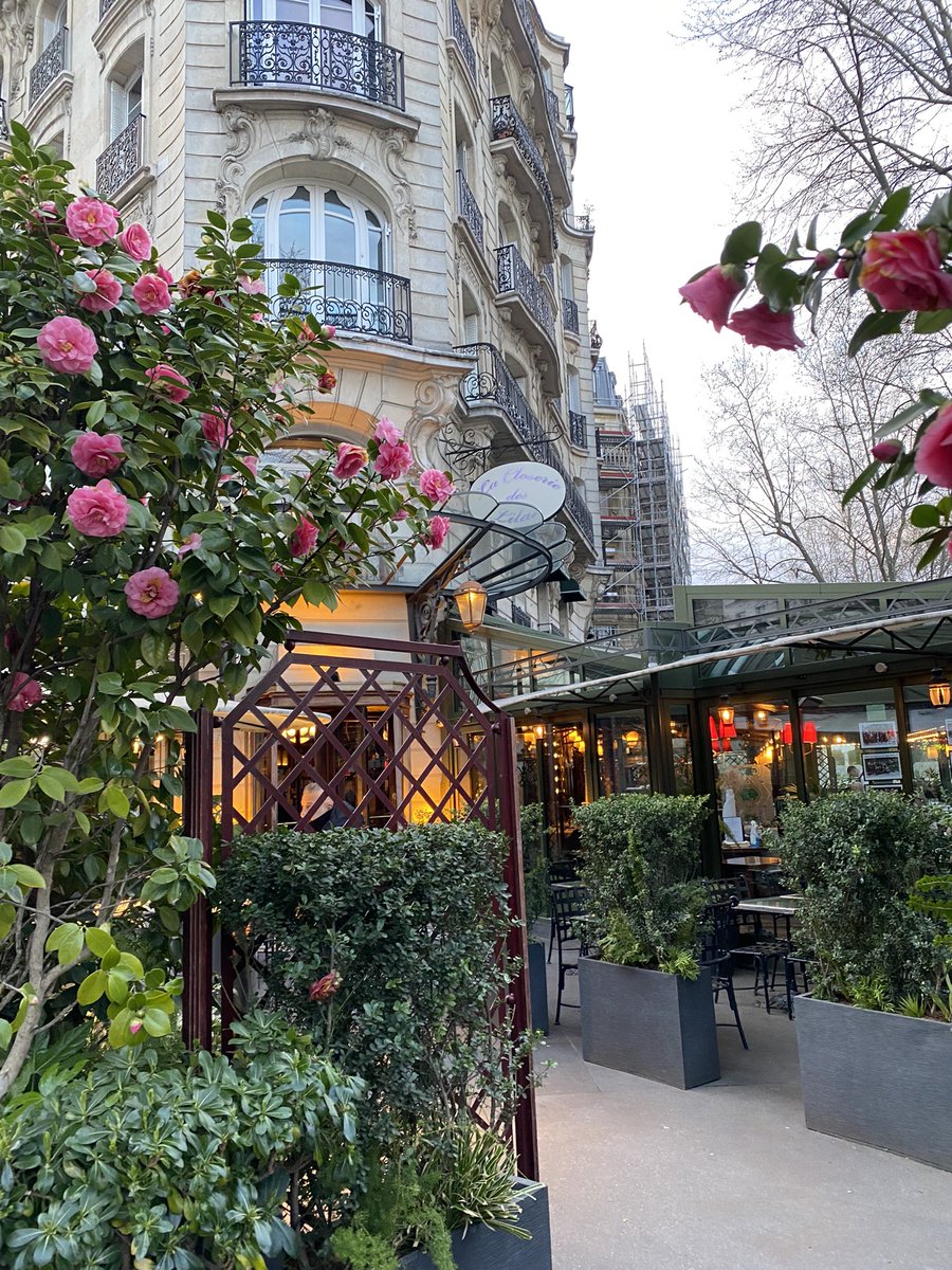 canuckrobyn's tweet photo. Paris is still the best place to visit in the spring 🌸 https://t.co/yKUzROQr3z