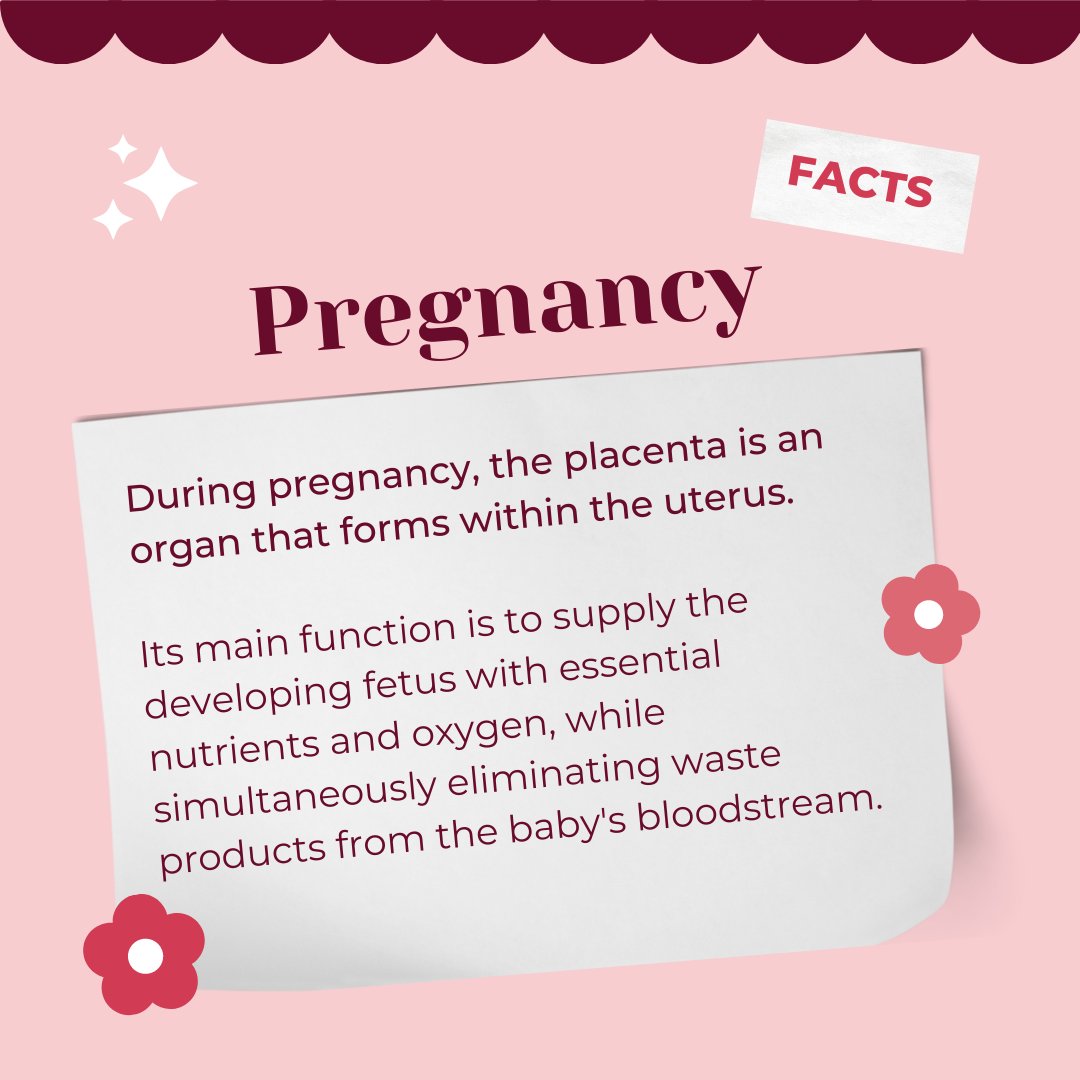 You won't believe this about your pregnancy! 😱

#pregnant #pregnantbelly #pregnantlife #expectingmom #newmomlife #newmoms #newmommylife #parentstobe #pregnancytips #expectingababy #healthcord #mommyhood #babyontheway #canada #ontario #vancouver #pregnancytips #curiousfacts #fact