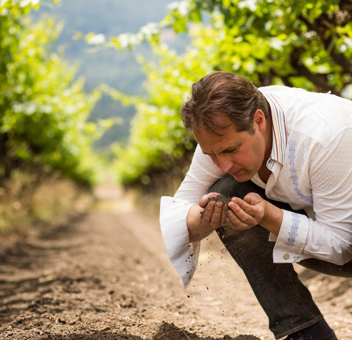 GrgichHills's tweet image. “At Grgich Hills, we grow grapes like my grandfather did, farming without chemicals and pesticides,” Ivo says.